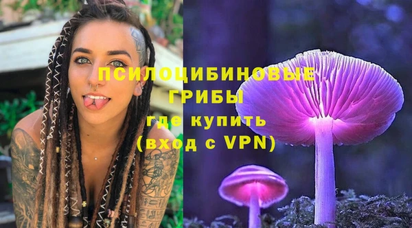 спиды Мурманск