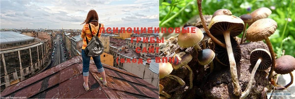 кокаин VHQ Красноперекопск