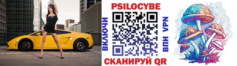 ОМГ ОМГ ONION  Приморск  Псилоцибиновые грибы ЛСД  дарнет шоп 